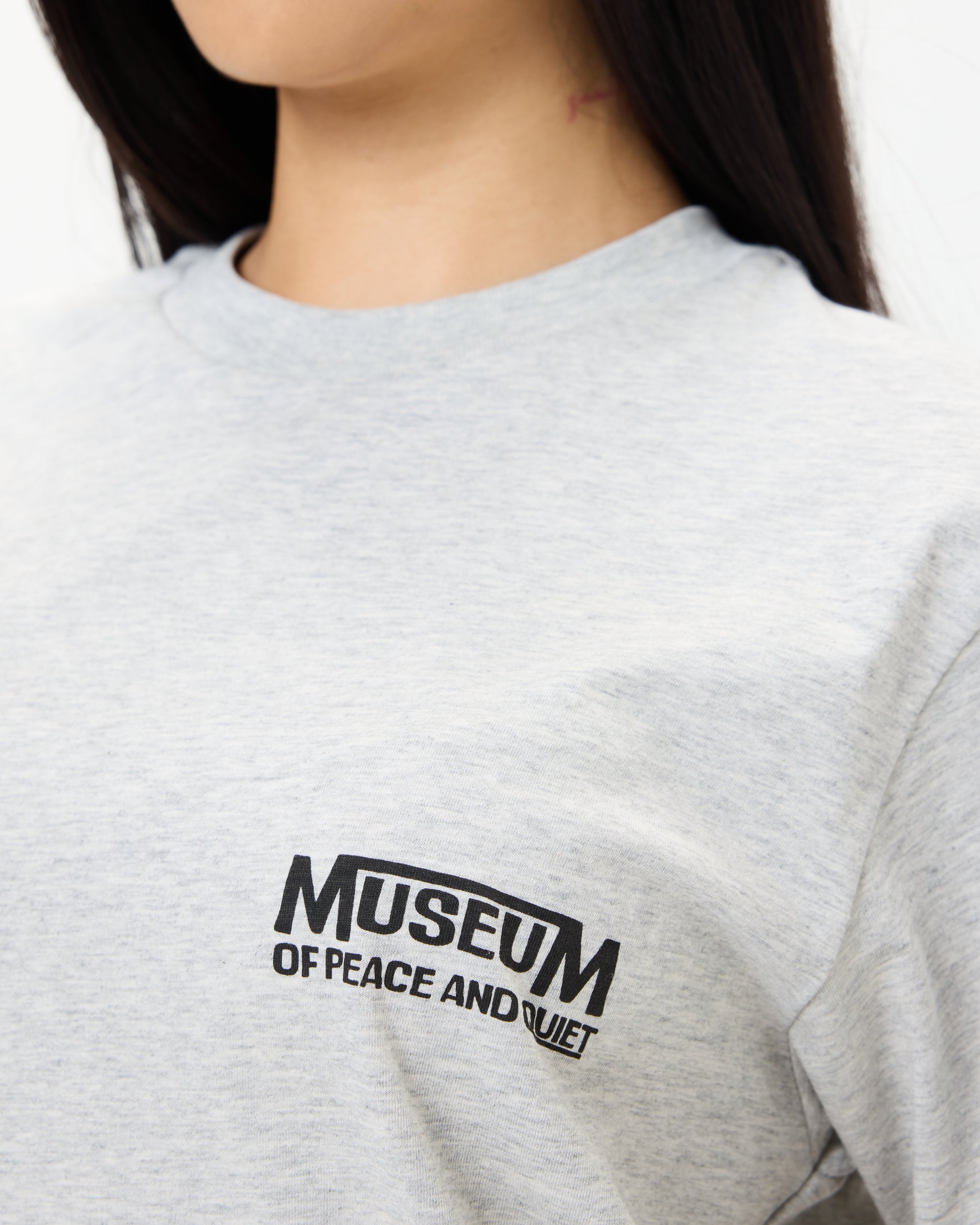 Establish Tee - Ash